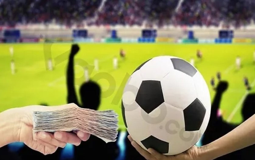 Hướng dẫn người chơi cách xem Odds và Fix tại nhà cái MU88